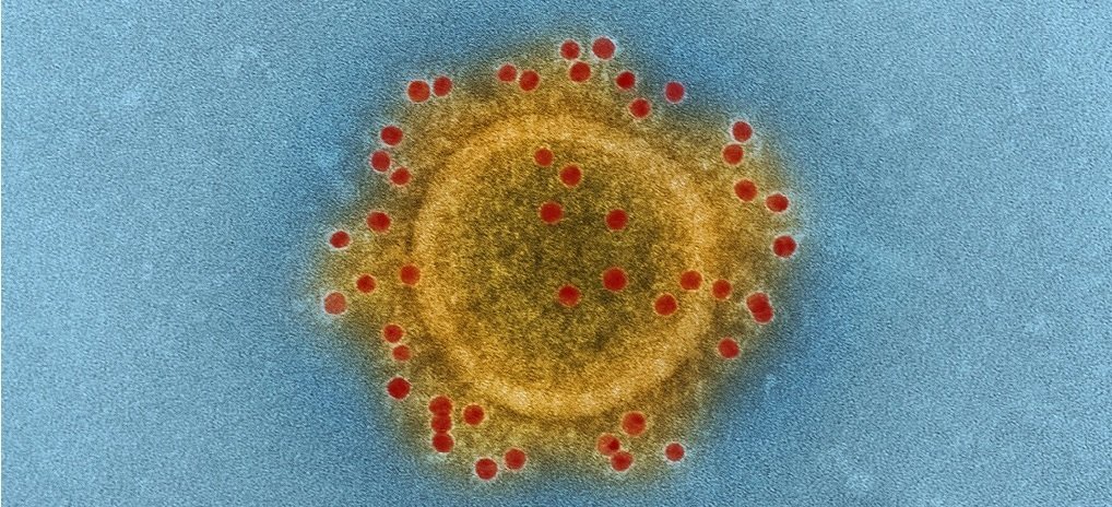 Symptoms and Diagnosis of the Coronavirus