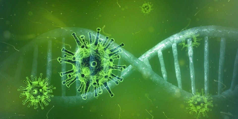 Children and the Coronavirus