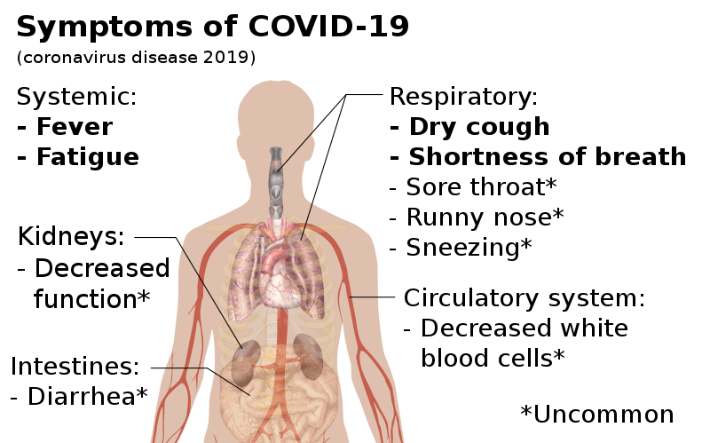 coronavirus testing