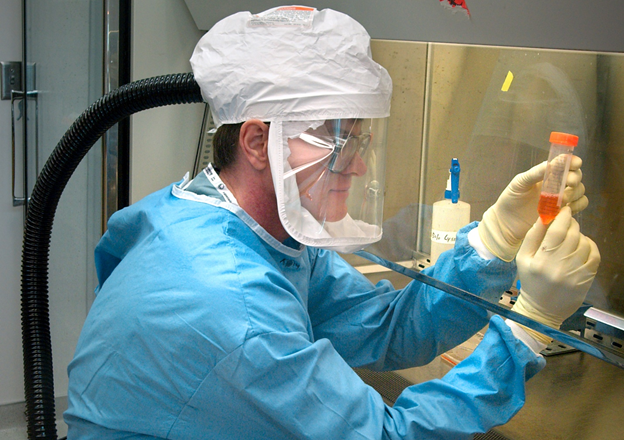 What are the Different Stages of Coronavirus Transmission?