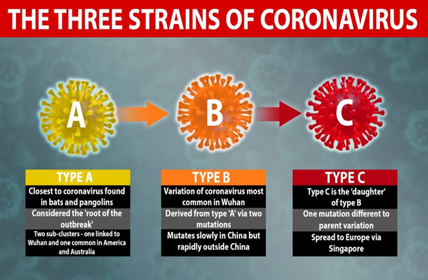 Different Strains Of Coronavirus