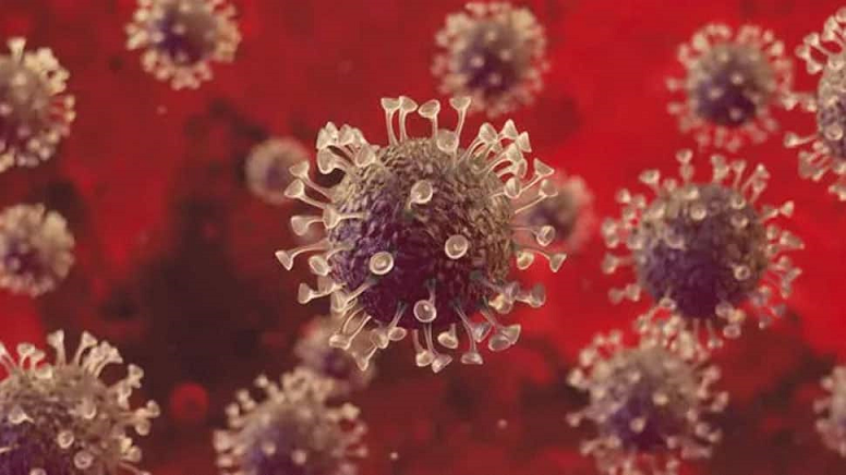 Mutation in Coronavirus