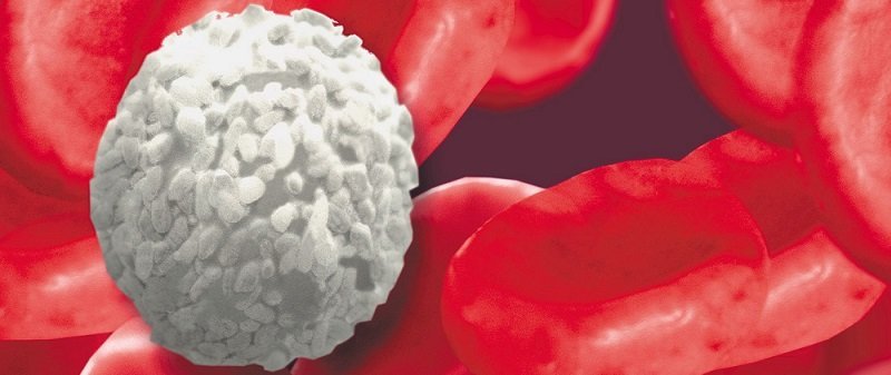 Find Out About The Drug That Helps In Fighting Blood Cancer At An Early Stage