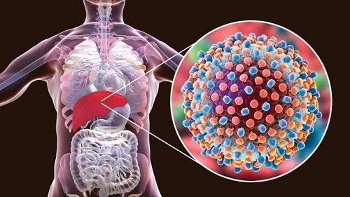 All you need to know about Hepatitis C infection