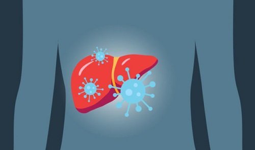 Why People need to take HCV Genotypes Seriously