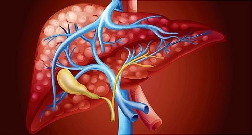 What Are Various Risk Factors Of Contracting Hepatitis C From An Infected Person?