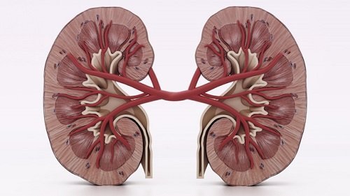 Symptoms and Risk Factors of Renal Cell Carcinoma, Neuroendocrine Tumor, Meningioma and Gastrointestinal Stromal Tumor