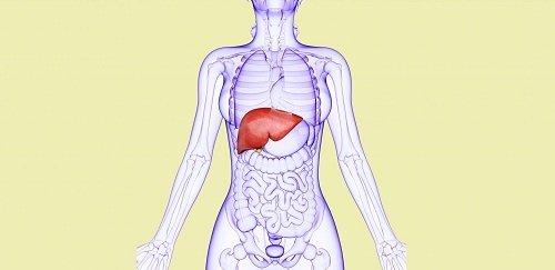 Ledifos Tablet: A combination medicine for Hepatitis C