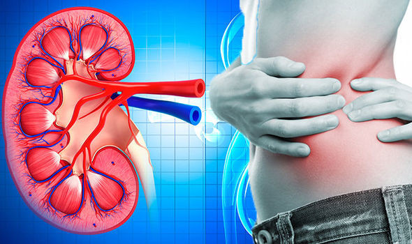 What are the Early Kidney Cancer Symptoms?