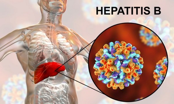 Hepatitis-b-virus