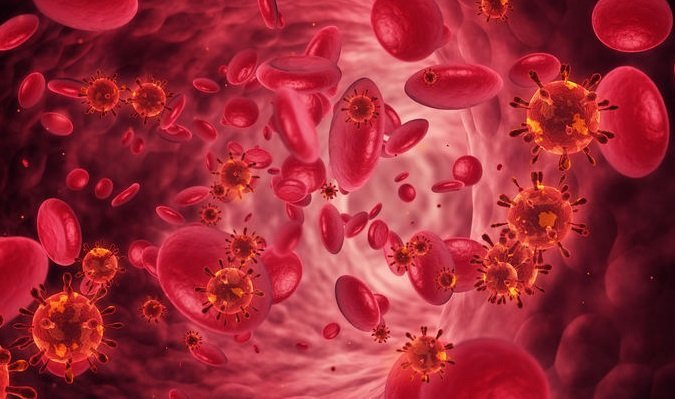 What Organ is Most Affected by Multiple Myeloma