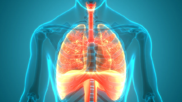 What are the 4 Stages of IPF?