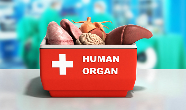 Rapacan-1mg-Tablet-organ-transplant