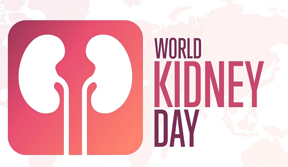 world kidney day 2023